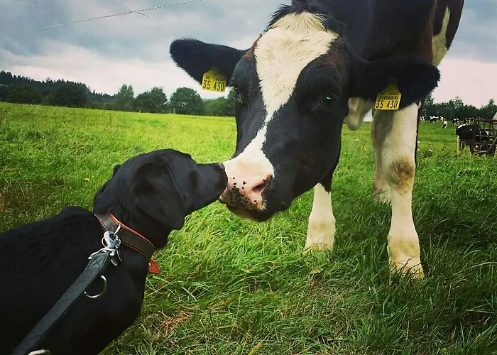 Gutshof - 4 Personen *